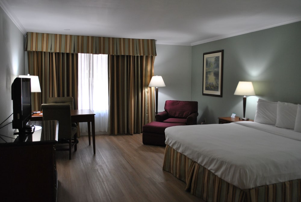 Hotel Piccadilly 11/65