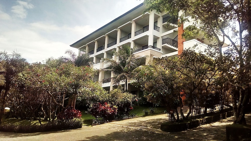 The Oxalis Regency Hotel Magelang 4/46