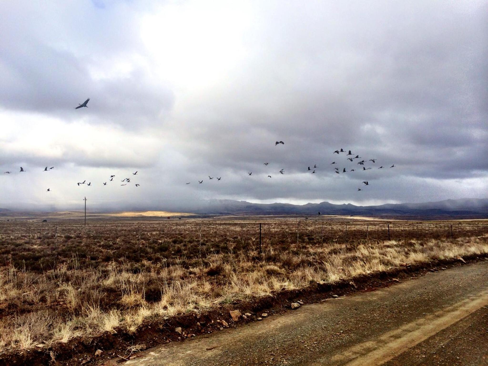 Sneeuberg Nature Reserve 32/50