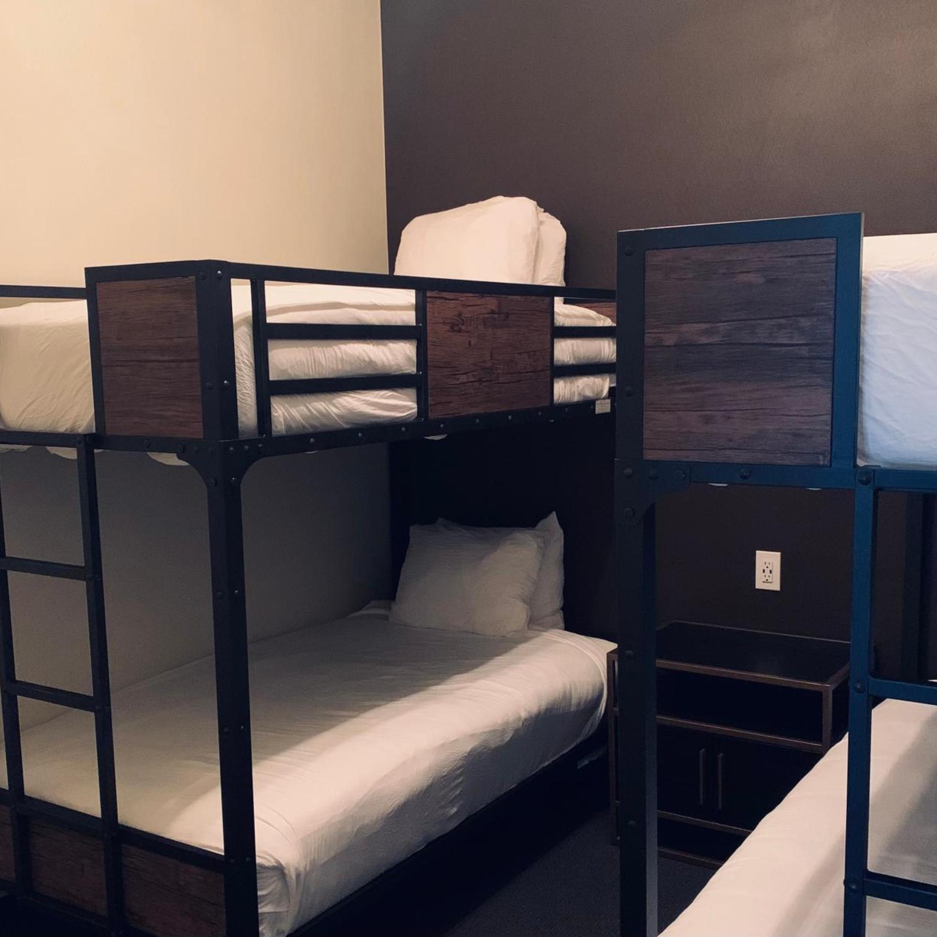HAPPY CAMPER, SUITE, PET FRIENDLY