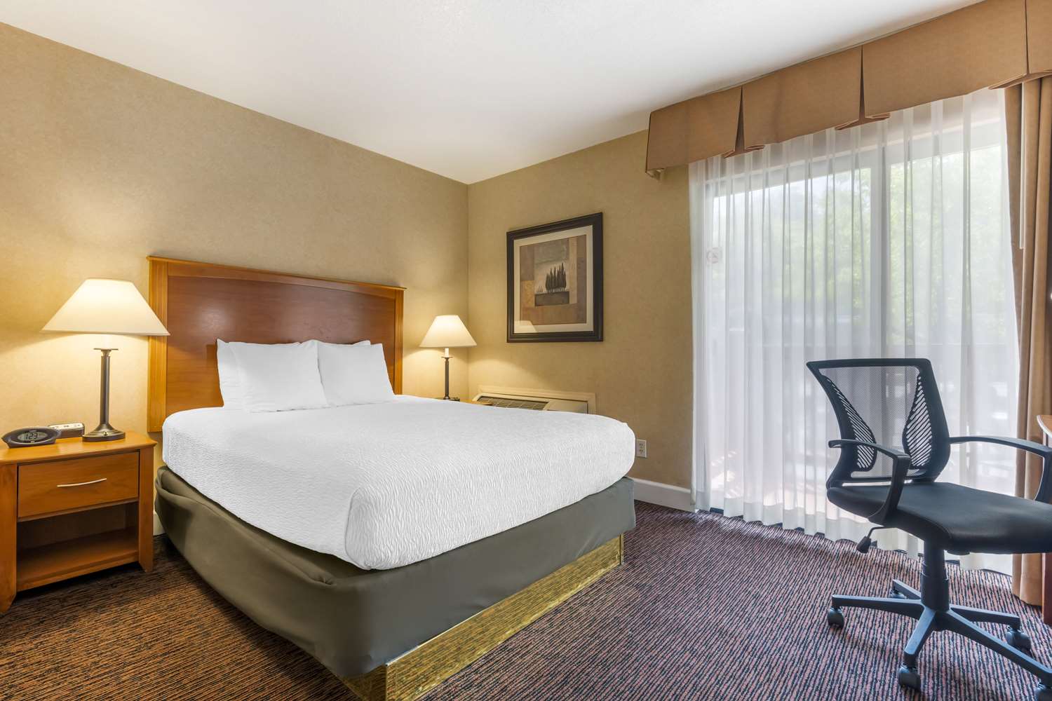 Mini, Suite, Queen Bed, Sofa