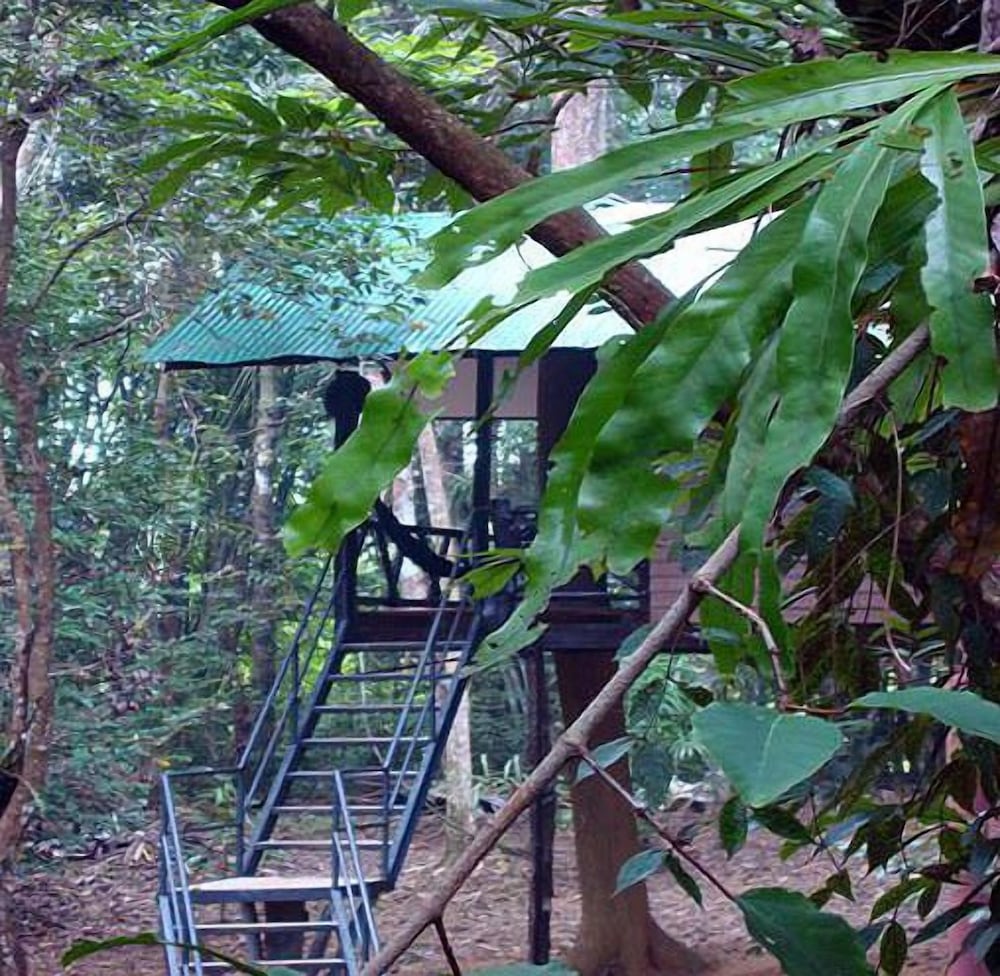 Khao Sok Tree House 28/50
