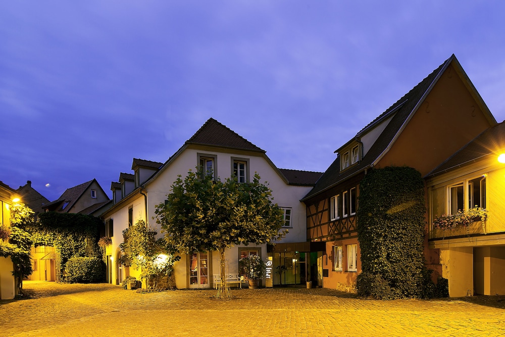 Hotel & Spa A la cour d'Alsace by HappyCulture 4/57