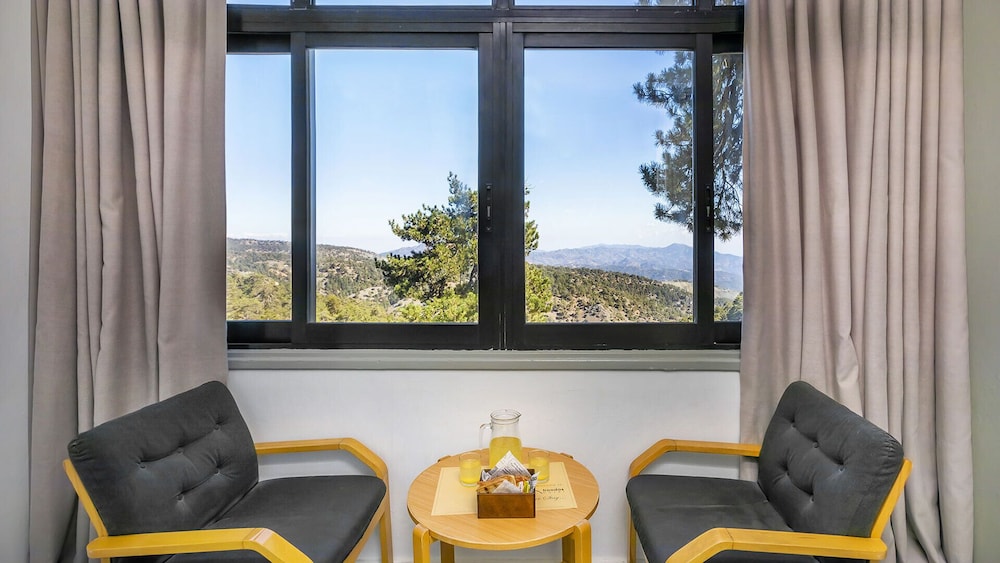 Troodos Hotel 39/50