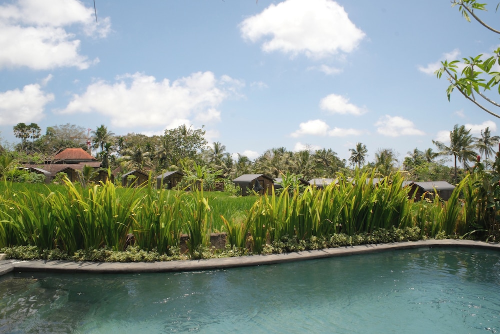 Mesari Hotel Ubud 83/88