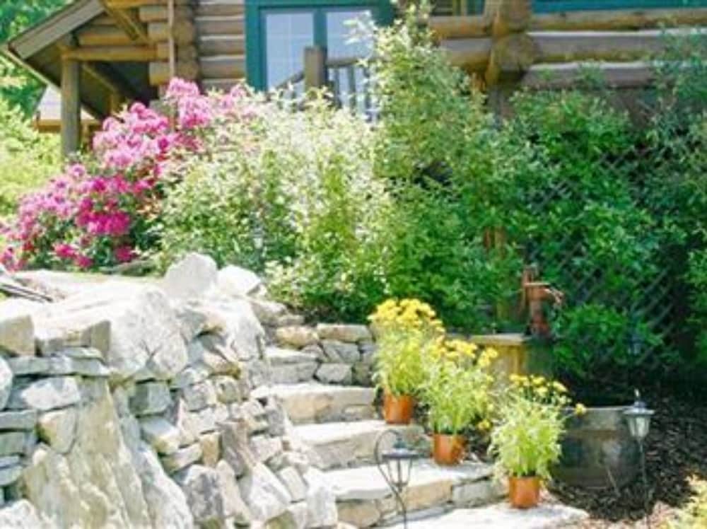 Wildberry Lodge Bed &amp; Breakfast 38/50
