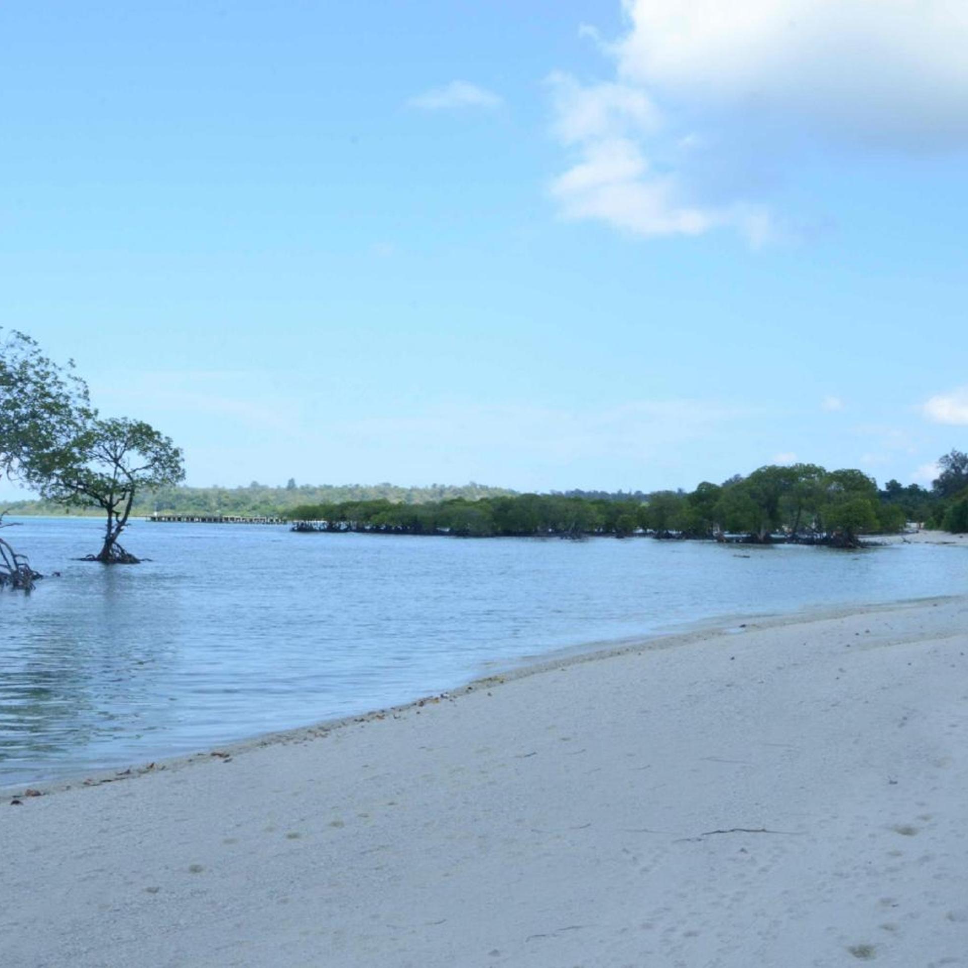 Coconhuts Beach Resort-Neil Island 33/49