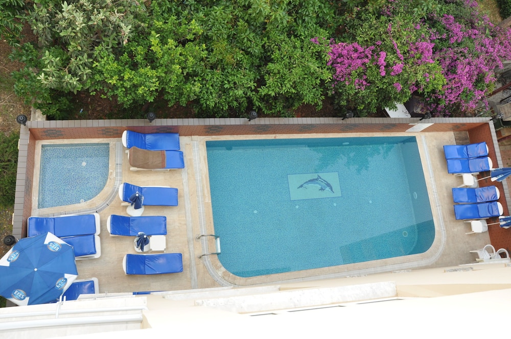 Miss Cleopatra Hotel 26/50