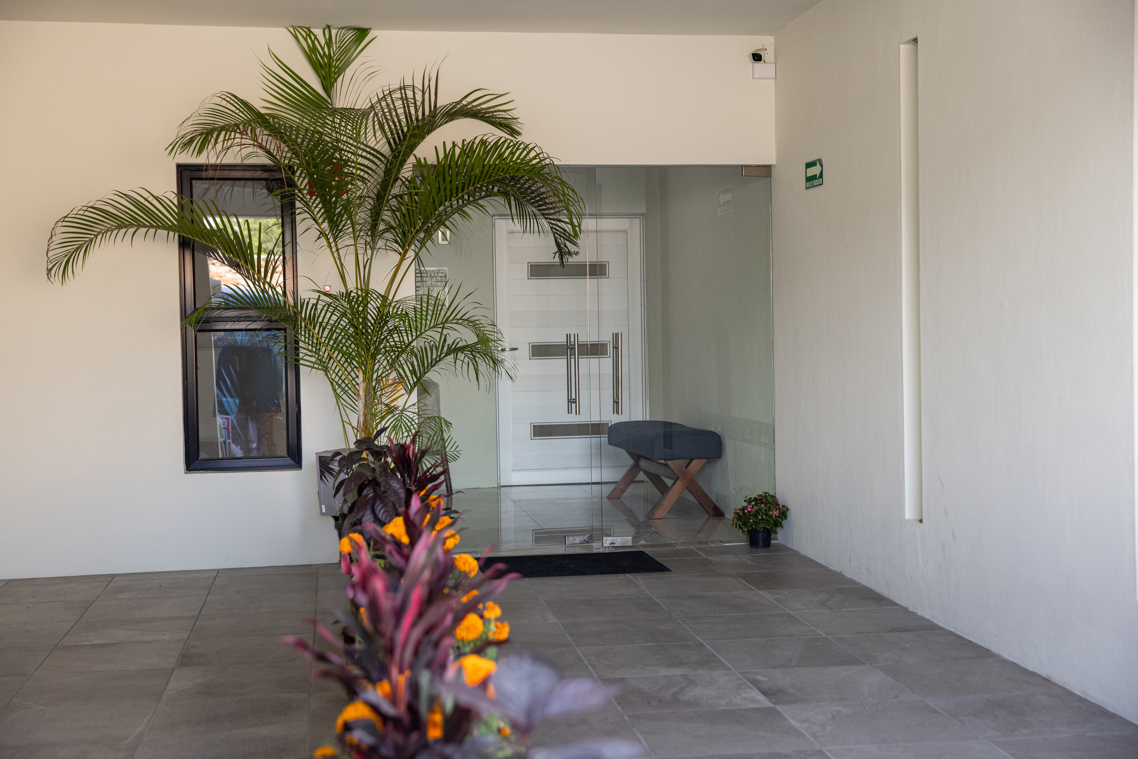 Hotel Casa Jima Agave 3/29
