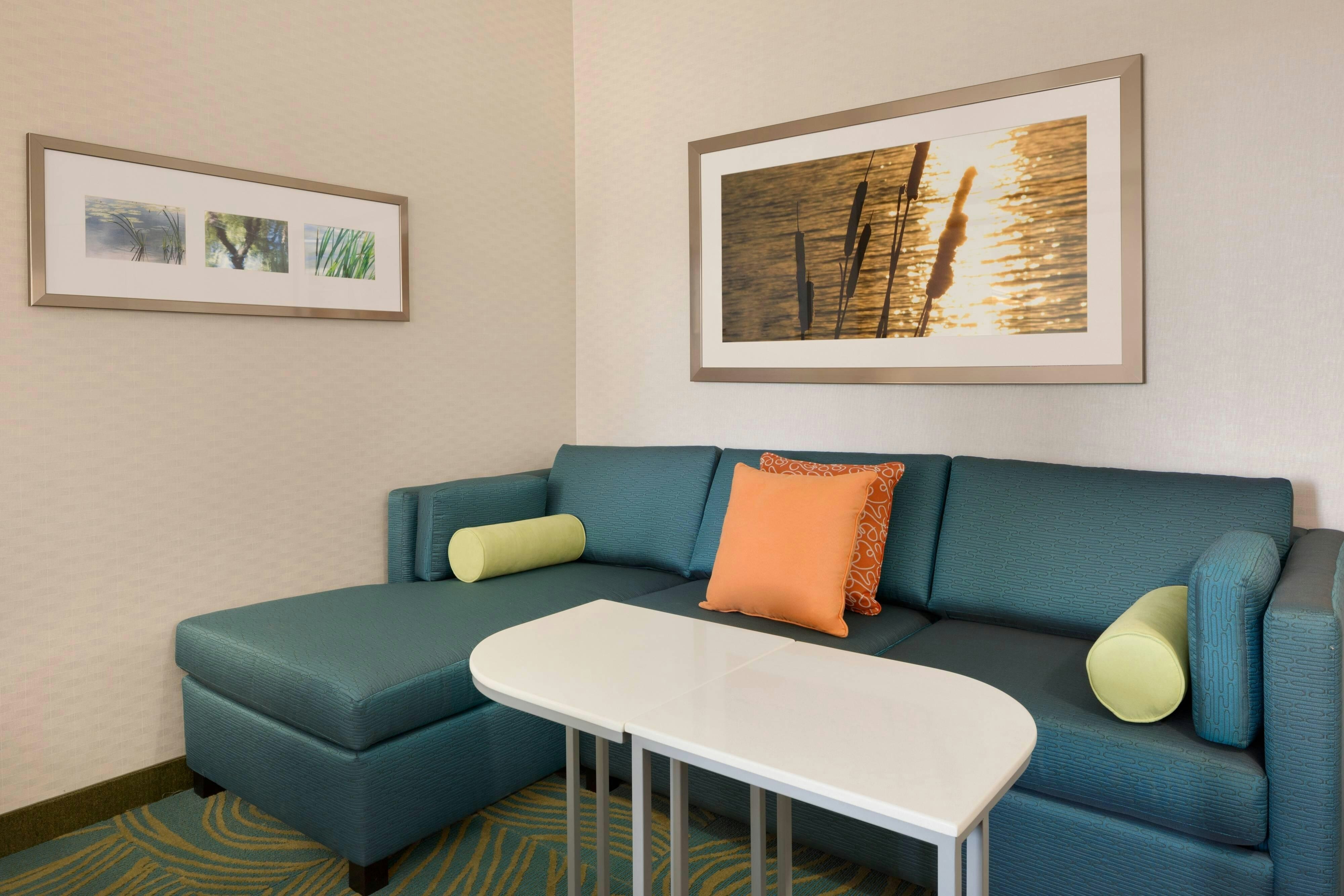 Springhill Suites By Marriott Tuscaloosa 26/48