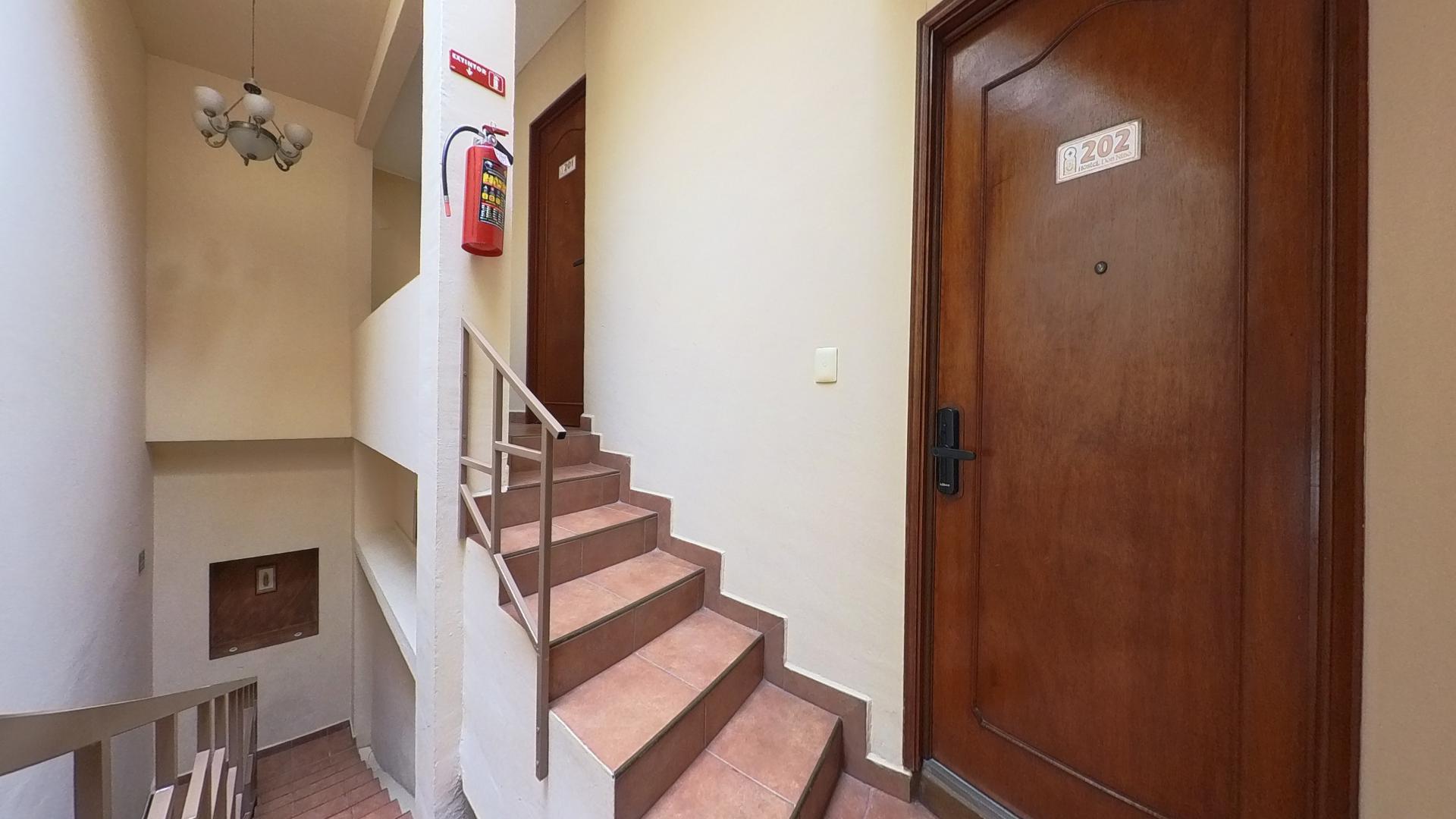 Hostel Don Nino 31/51