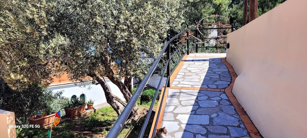 Myrties Boutique Apartments 24/50
