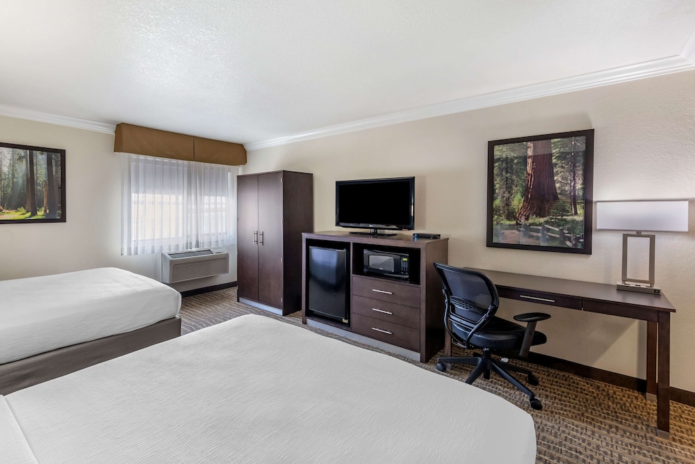 Best Western Town & Country Lodge 14/58