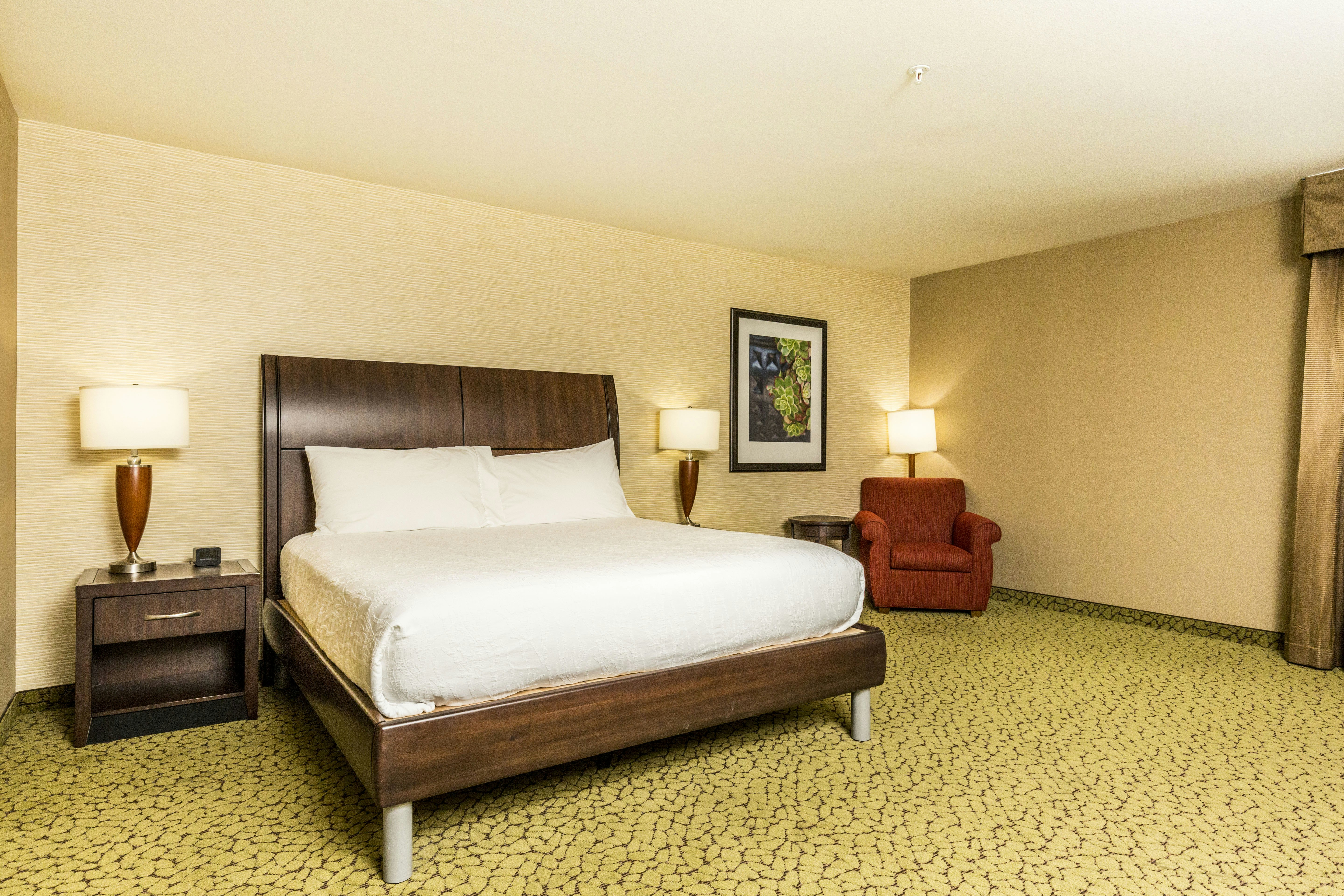 Room, King Bed, Accessible