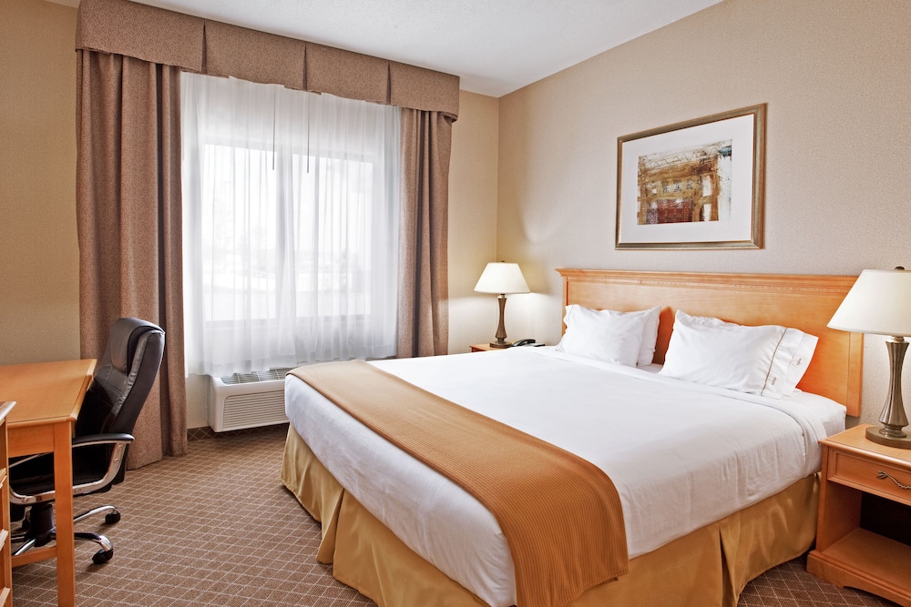 Holiday Inn Express Hotel and Suites Chesterfield - Selfridge Area 22/57