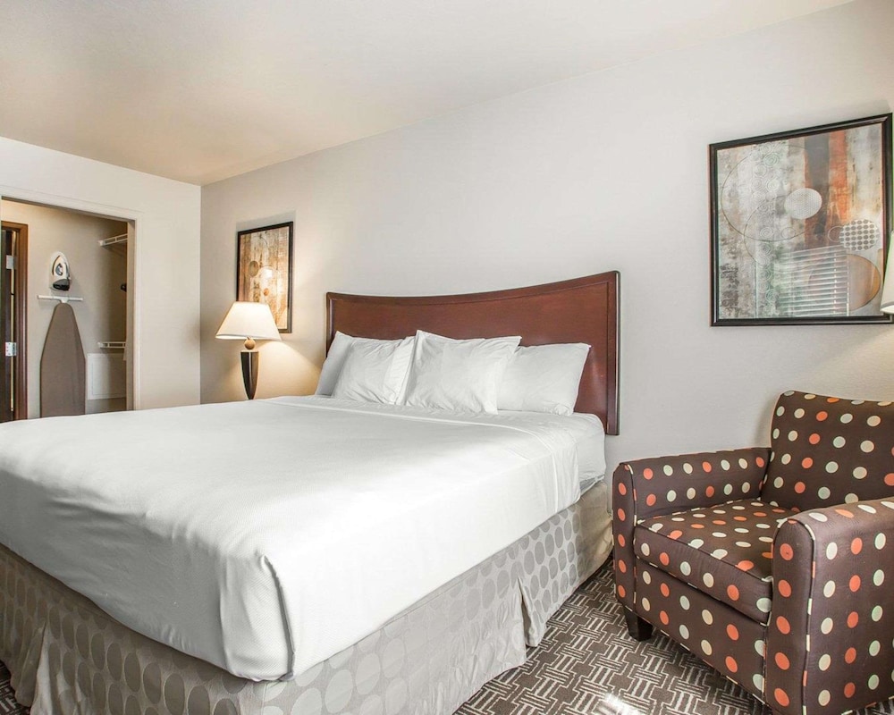 Upgrade, Efficiency, Suite, King Bed, Sofa, Accessible