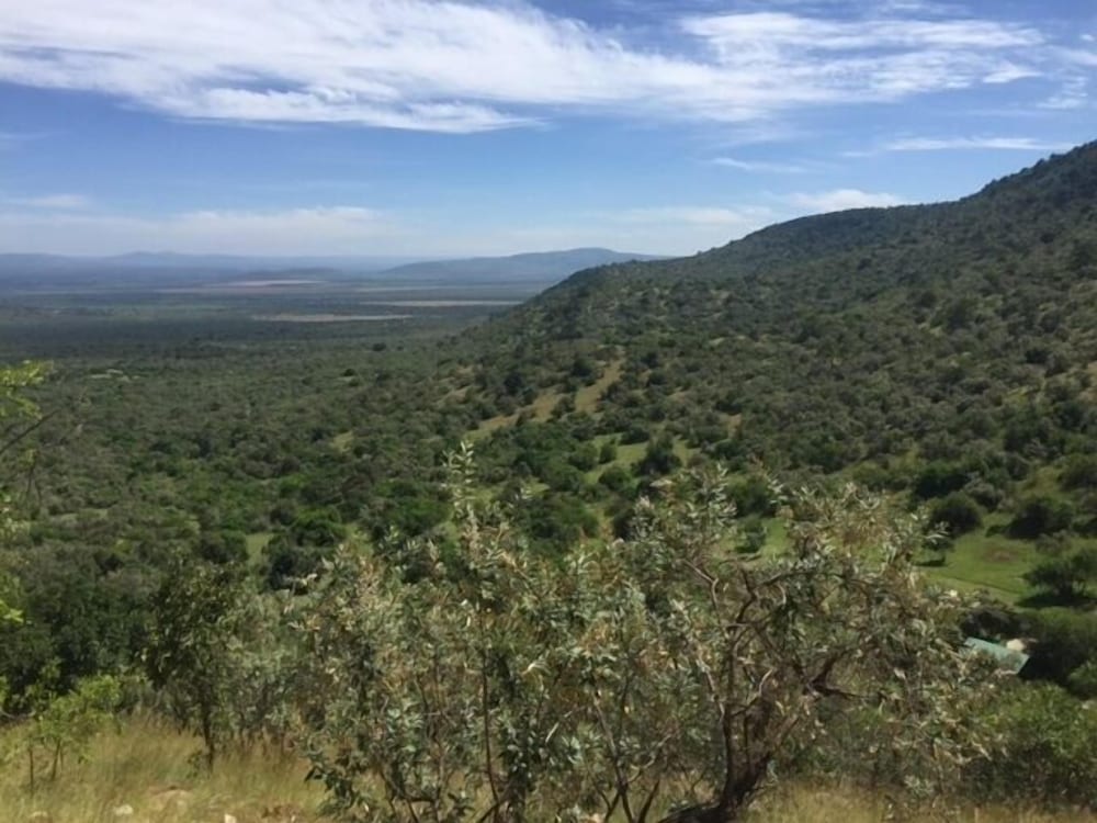 The Nubian In The Mara 27/31