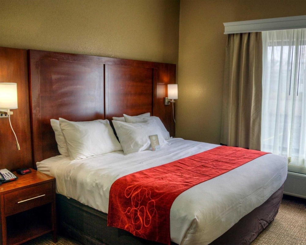 Comfort Suites Plymouth Near Us-30 13/38