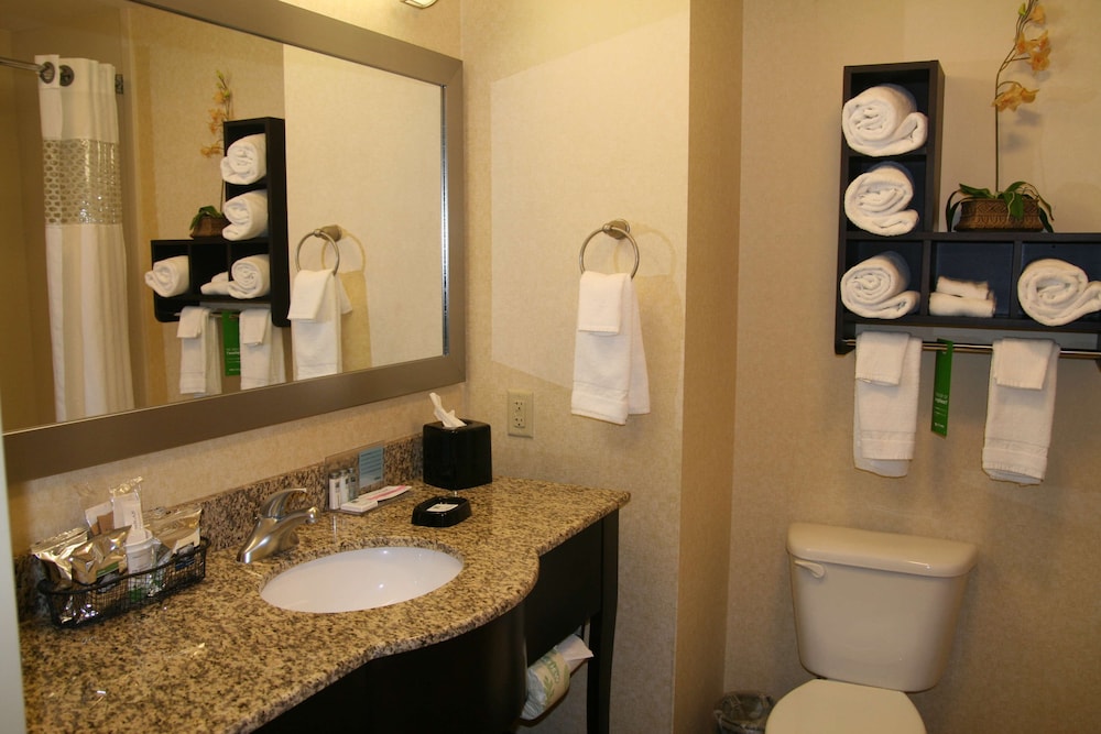 Hampton Inn Dandridge, TN 13/46