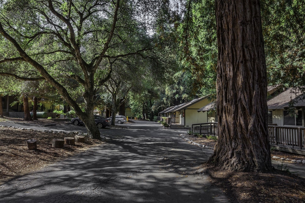 Big Sur Lodge 58/67