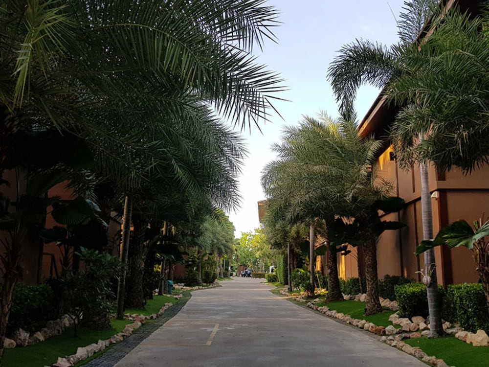The Grace Amphawa 39/50