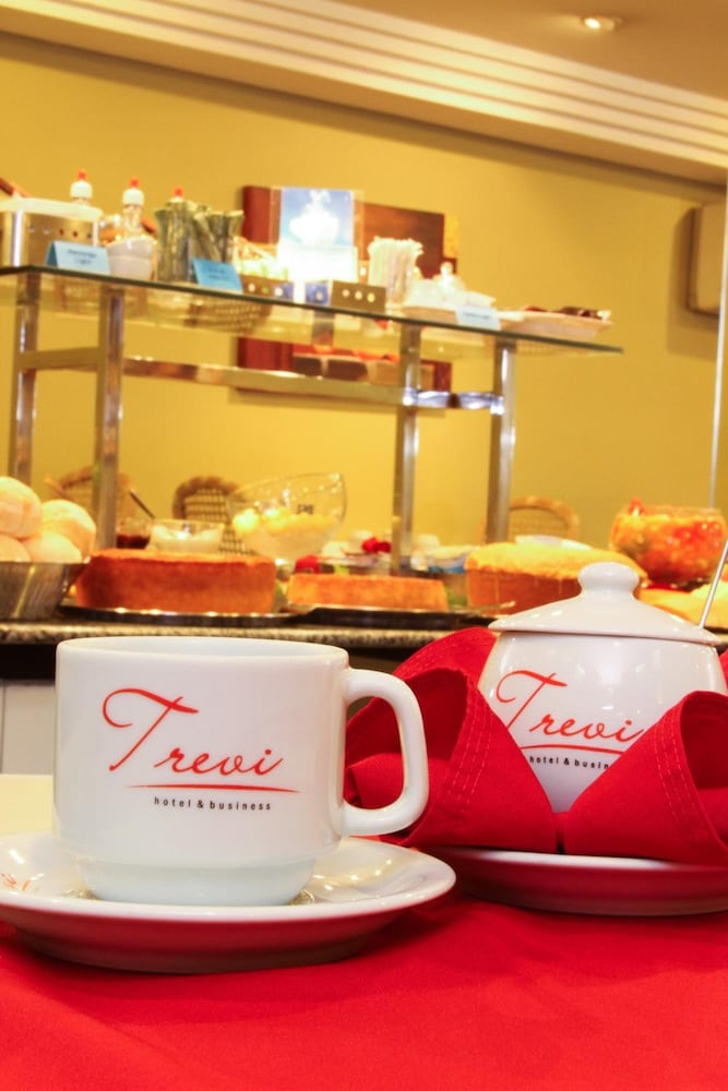 Trevi Hotel & Business 31/67
