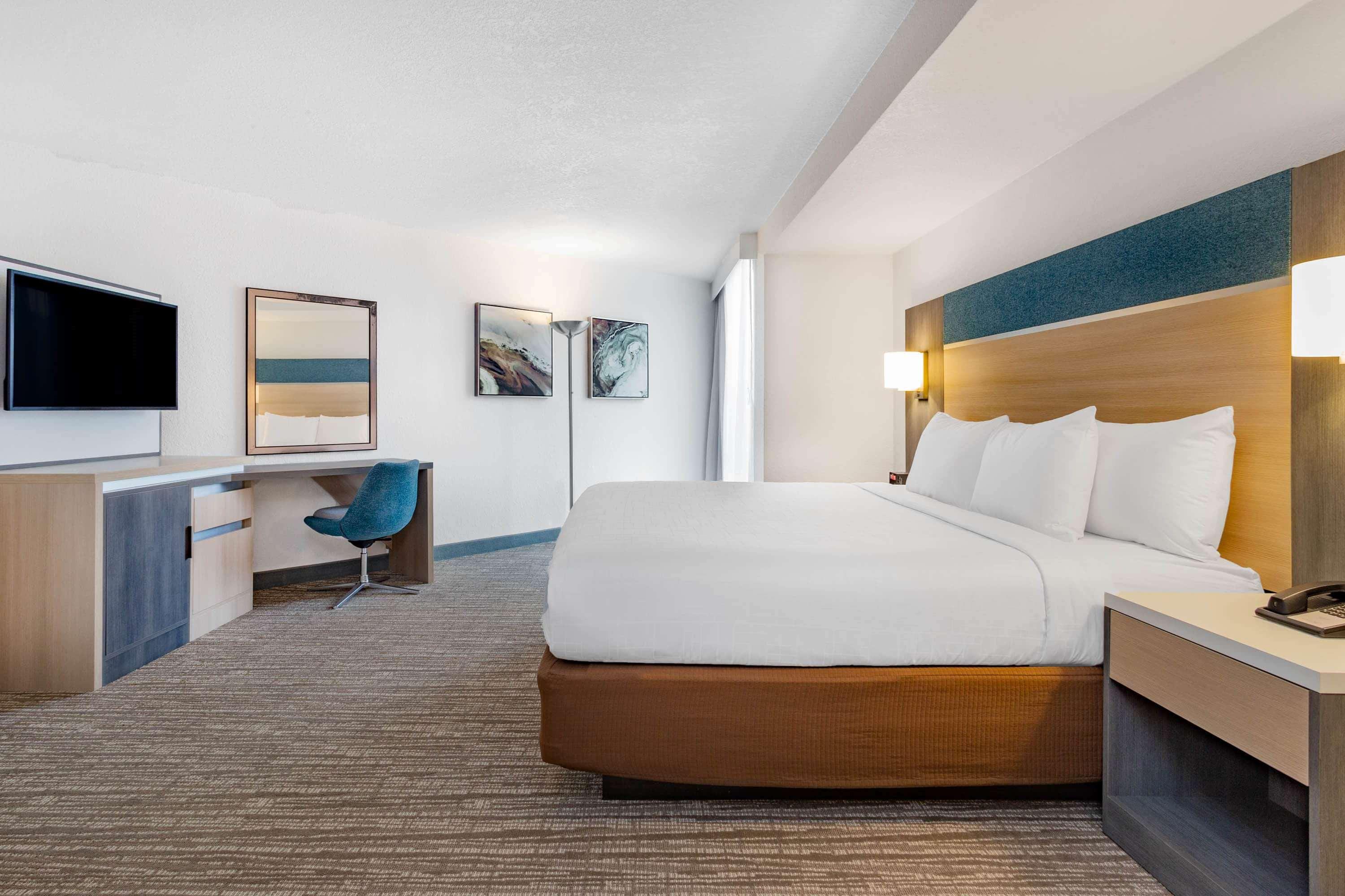 Room, King Bed