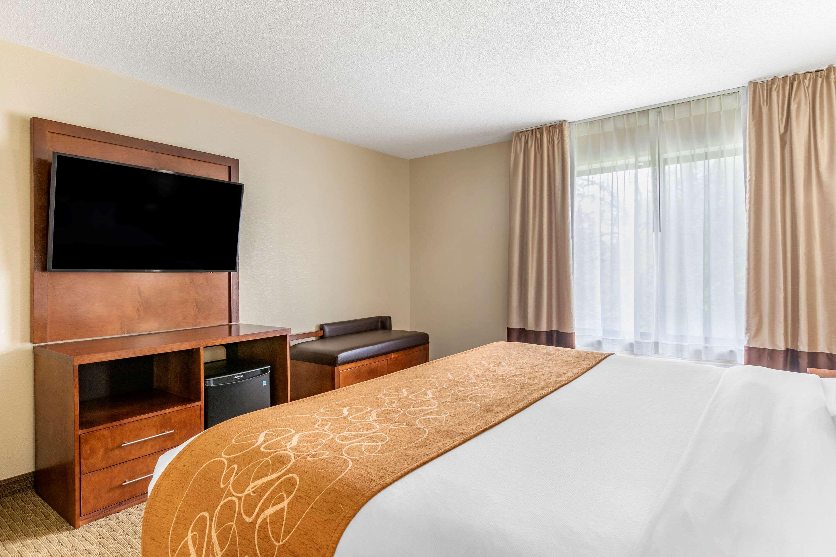 Upgrade, Suite, King Bed