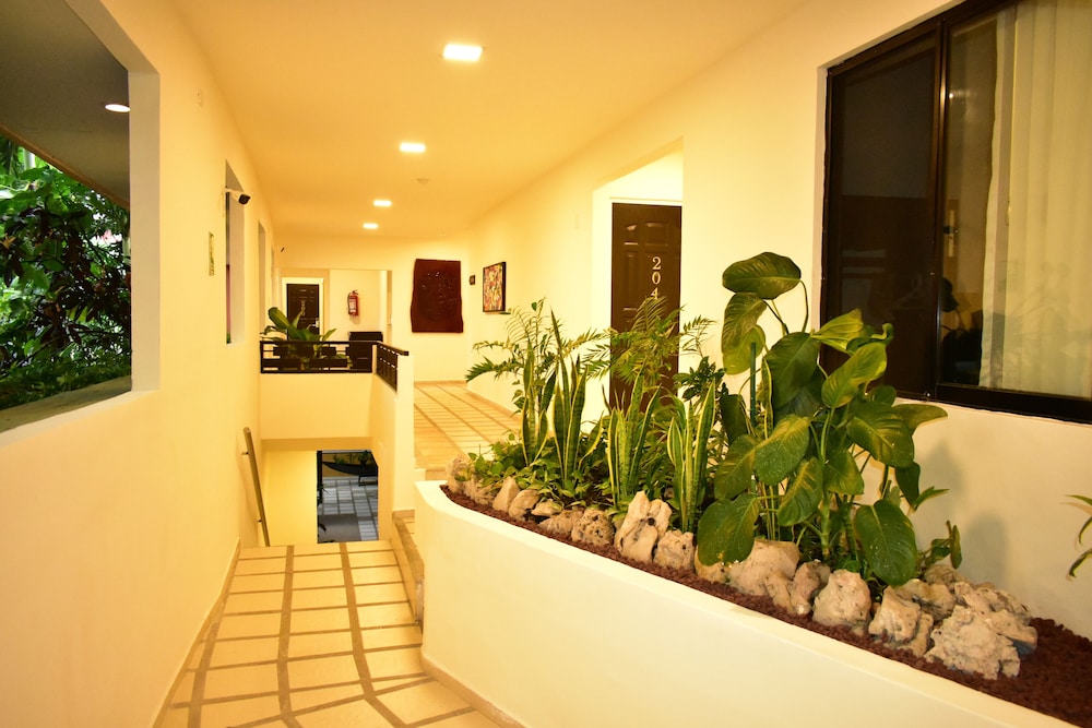 Hotel Maya Tulipanes Palenque 48/71