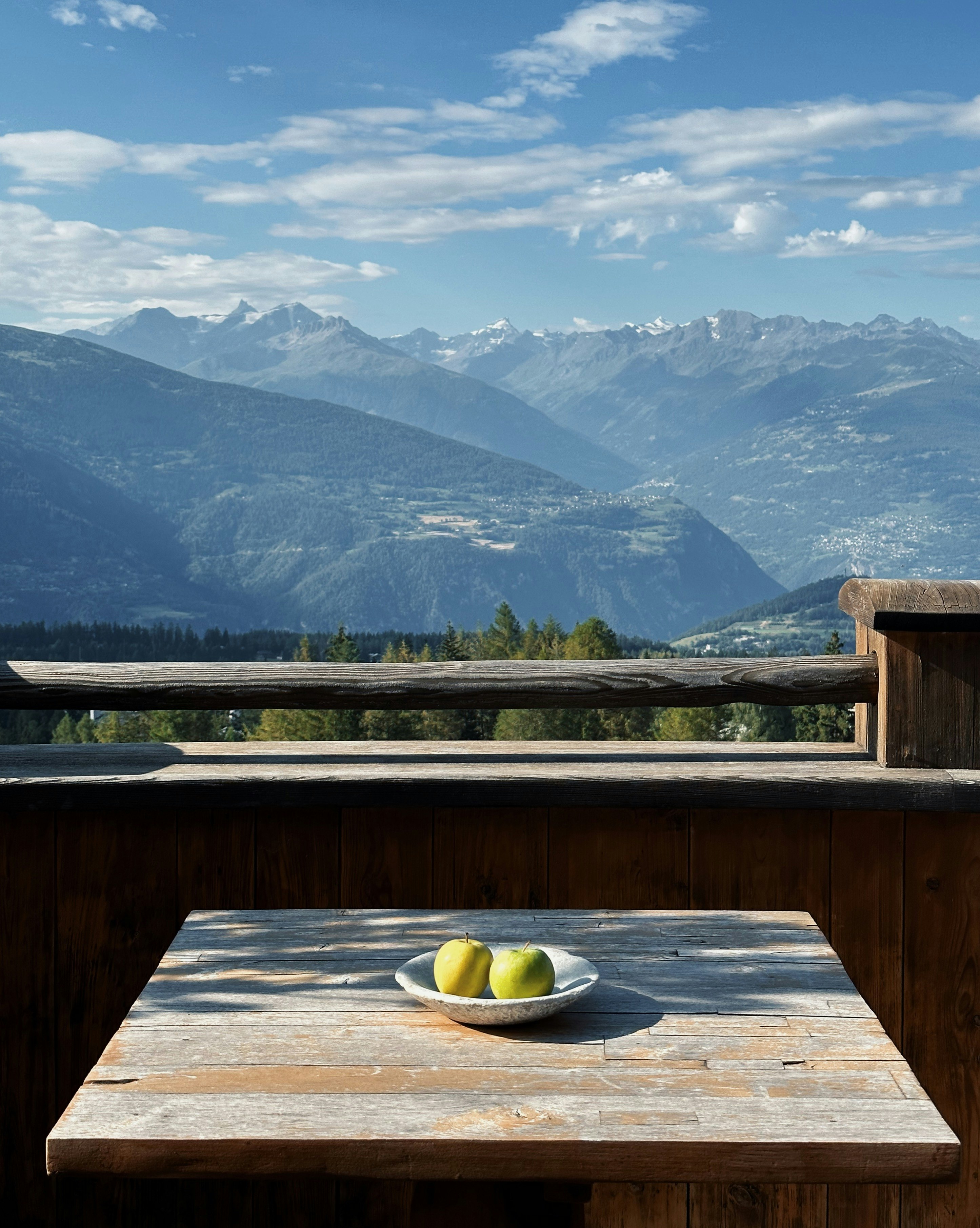 Le Crans Hotel & Spa 37/50