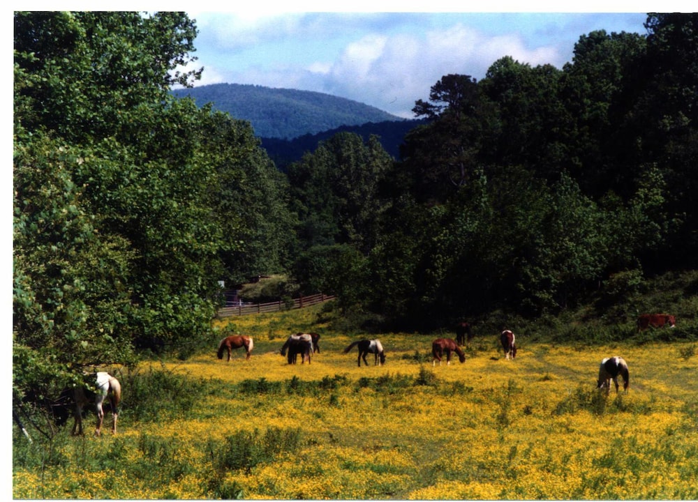 Forrest Hills Mountain Resort 67/72