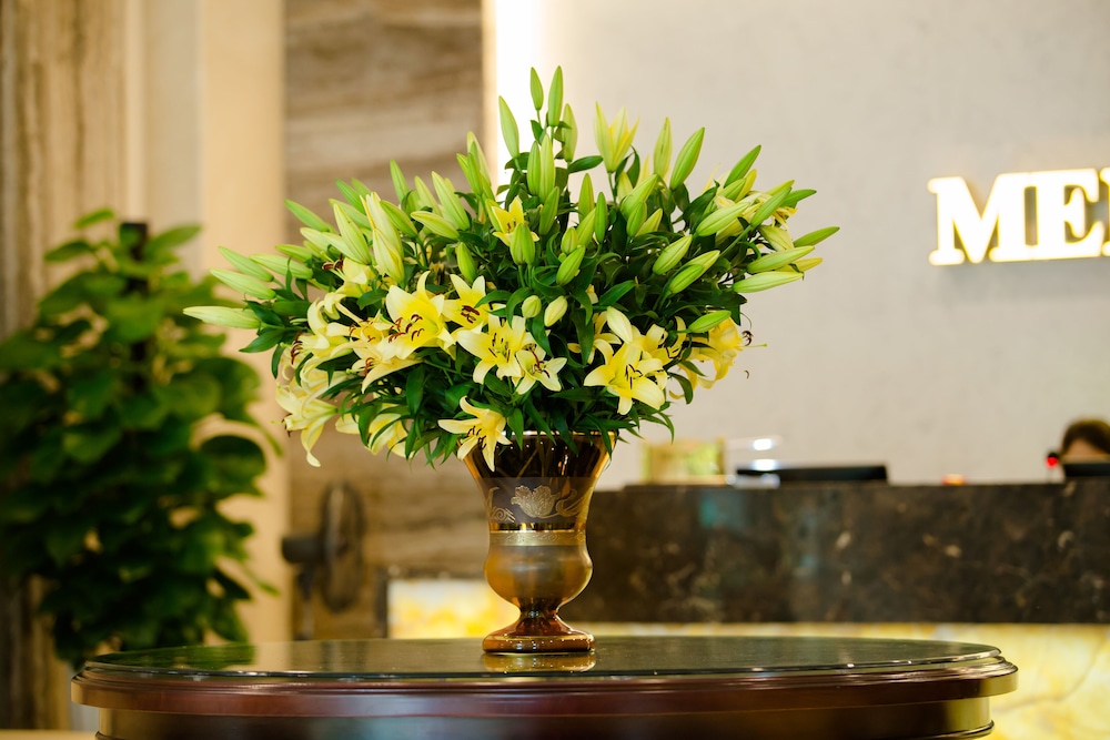 Menrva Hotel Hai Phong 3/20