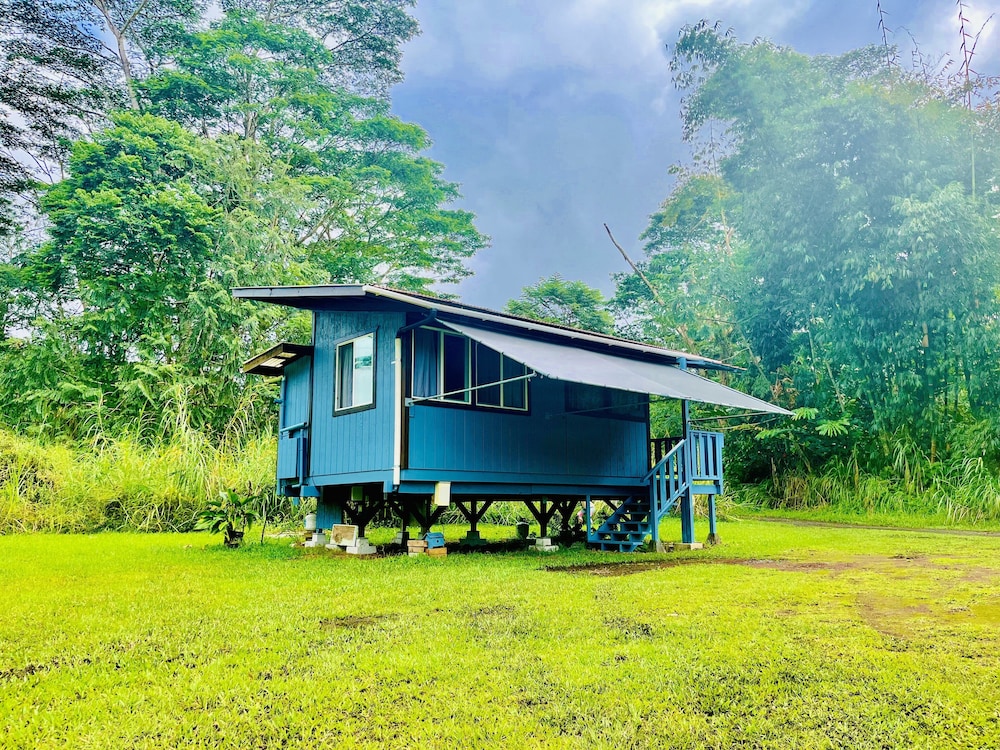 Hawaiian Sanctuary 4/50