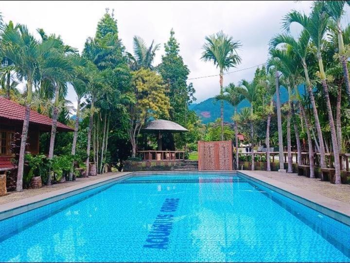 Villa Aquarius Orange 29/32