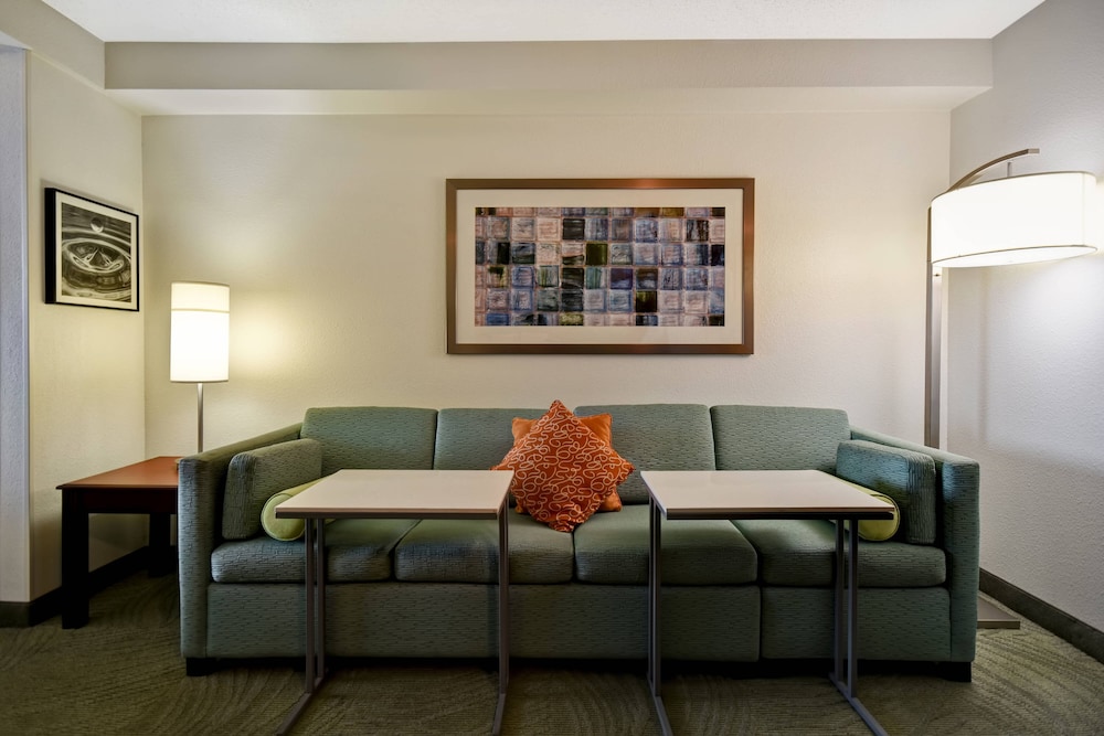 Springhill Suites Atlanta Buford Mall of Georgia 29/50