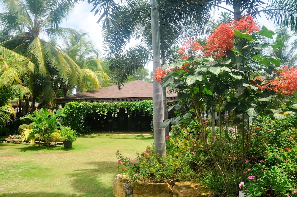 Alona Golden Palm Resort 35/47