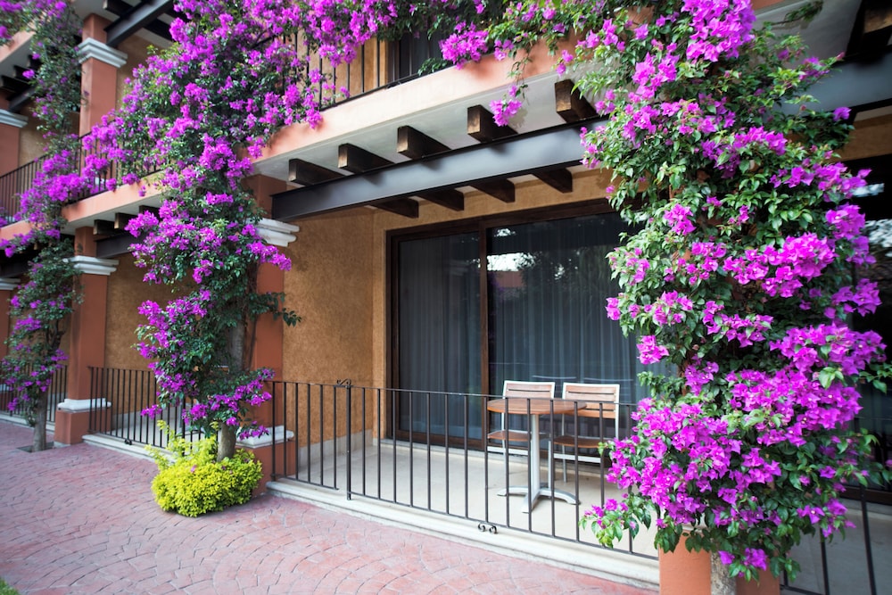 Hosteria Las Quintas Hotel and Spa 9/69