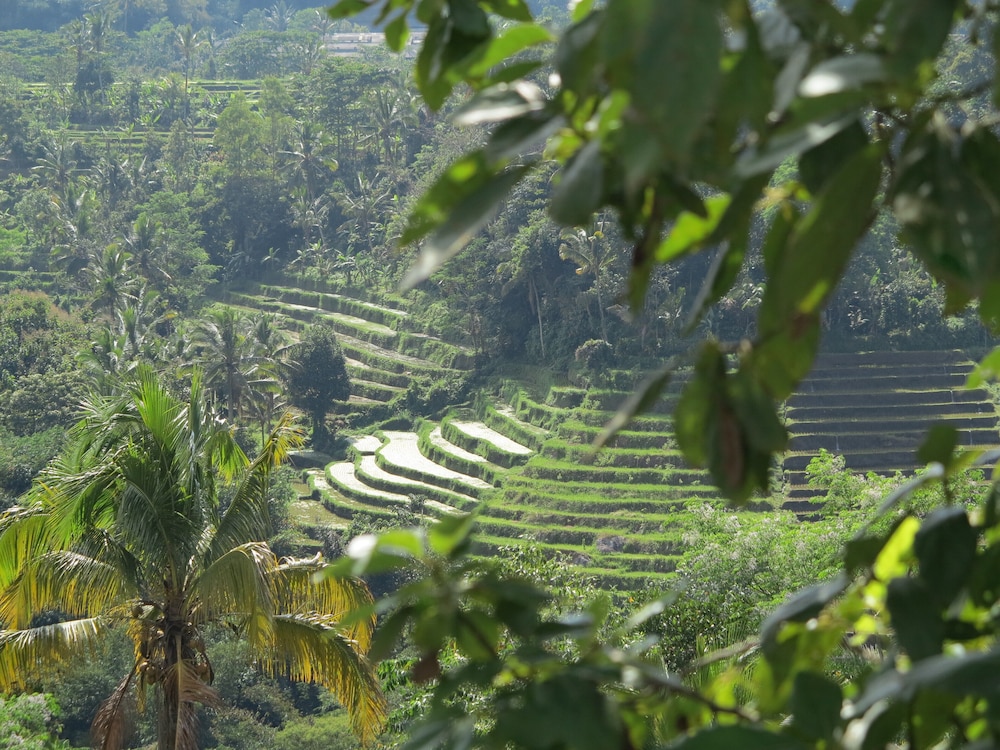 The Chillhouse Canggu by BVR Bali Holiday Rentals 41/50