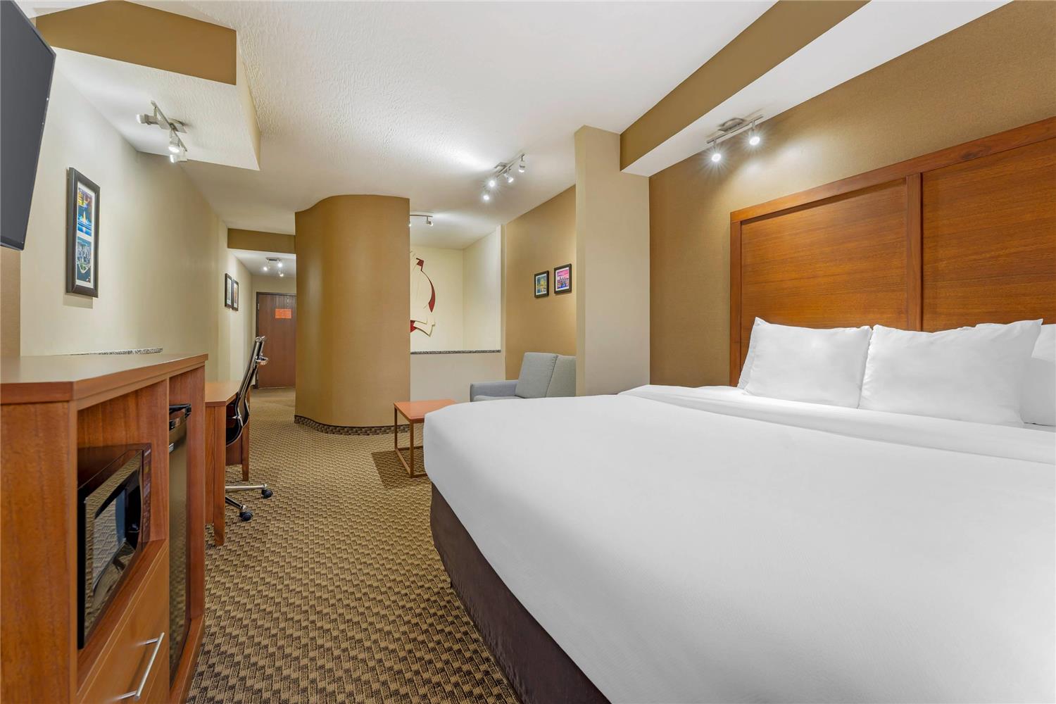 Suite, King Bed