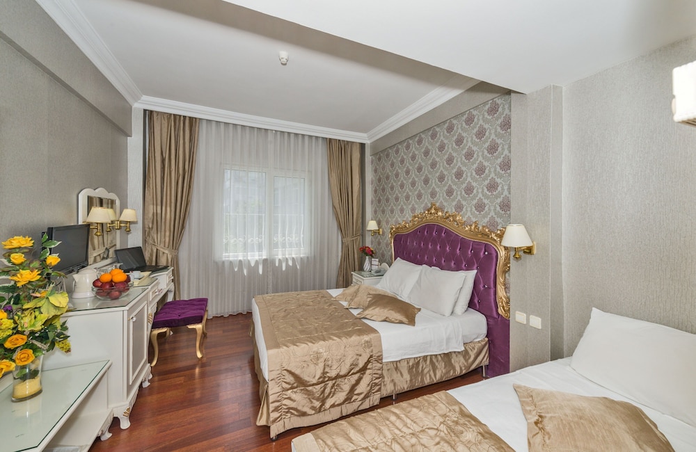 Santa Sophia Hotel Istanbul 23/59