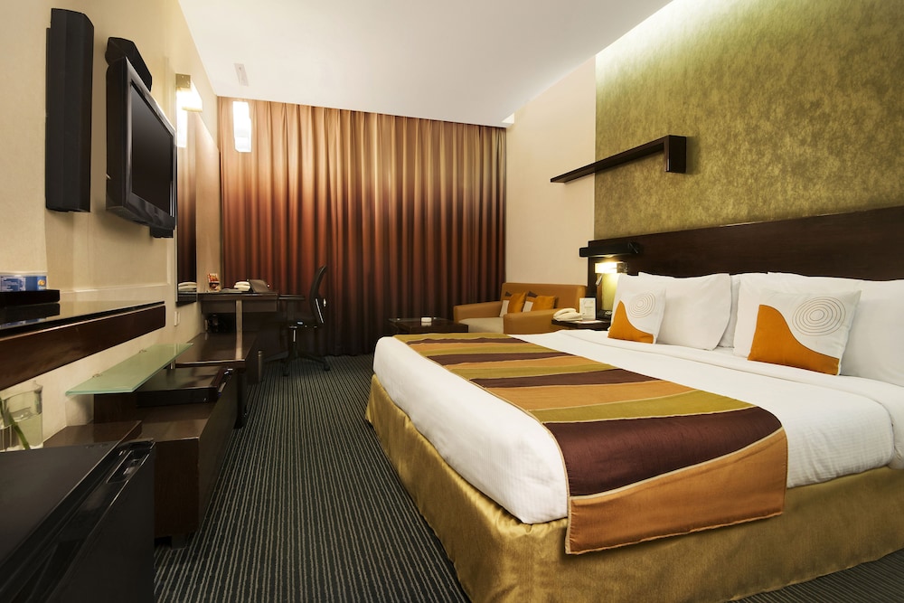 Sayaji Hotel 9/52