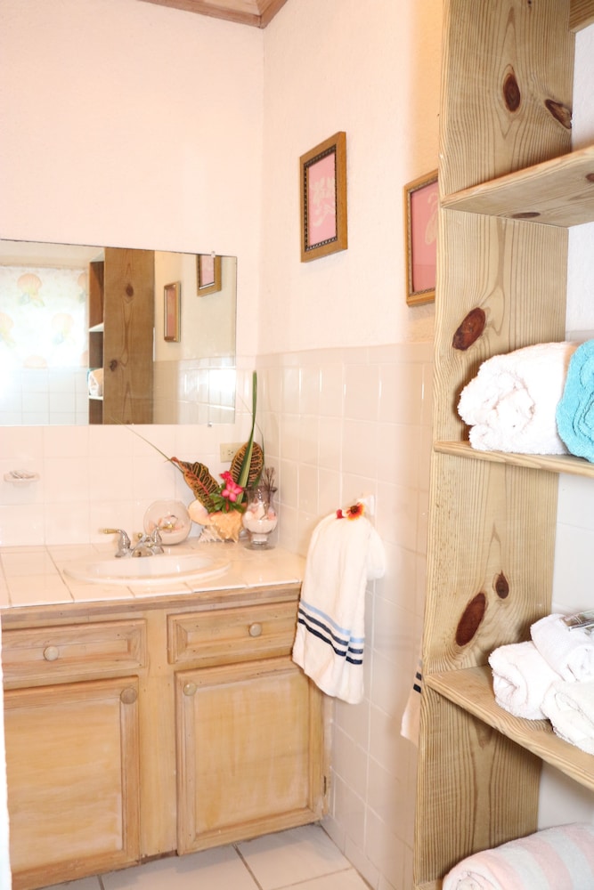 THE SUGAR APPLE BED AND BREAKFAST 47/50