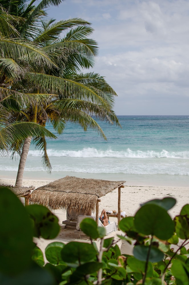 Encantada Tulum 45/50