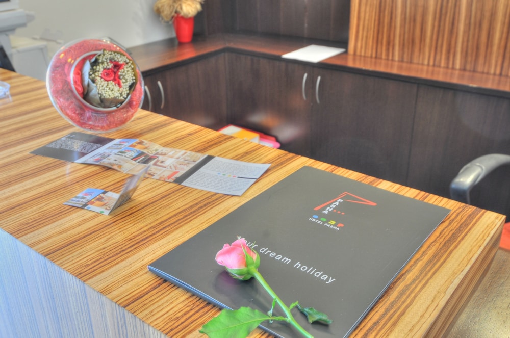 Pasha酒店(Pasha) 图片5