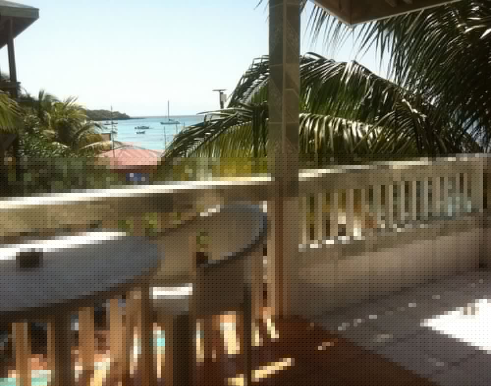 Coconut Tree West Bay 5/70