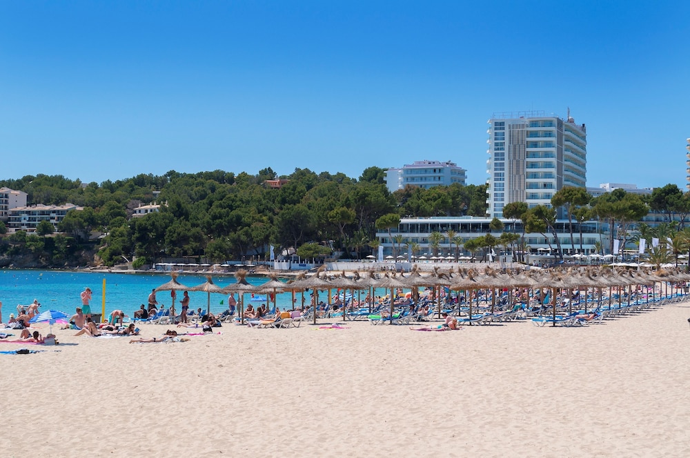 Melia Calvia Beach 43/50