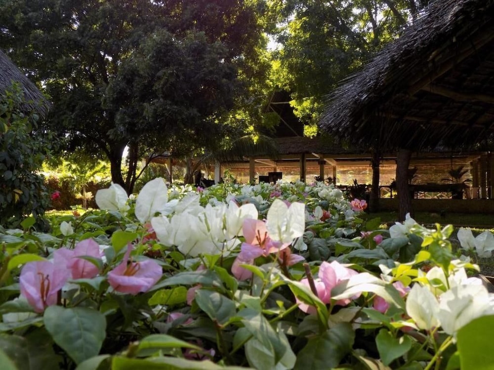 Echo Villas Watamu 25/32
