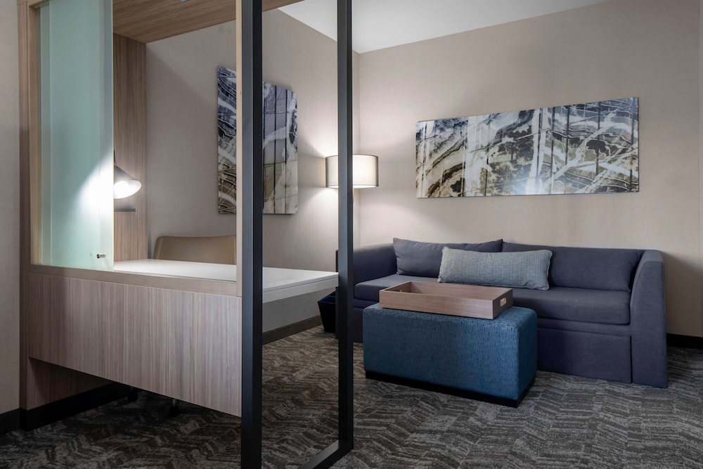 SpringHill Suites by Marriott Charlotte Huntersville 21/42