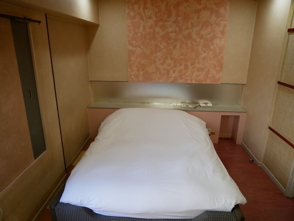 International Hotel Kabukicho 8/18