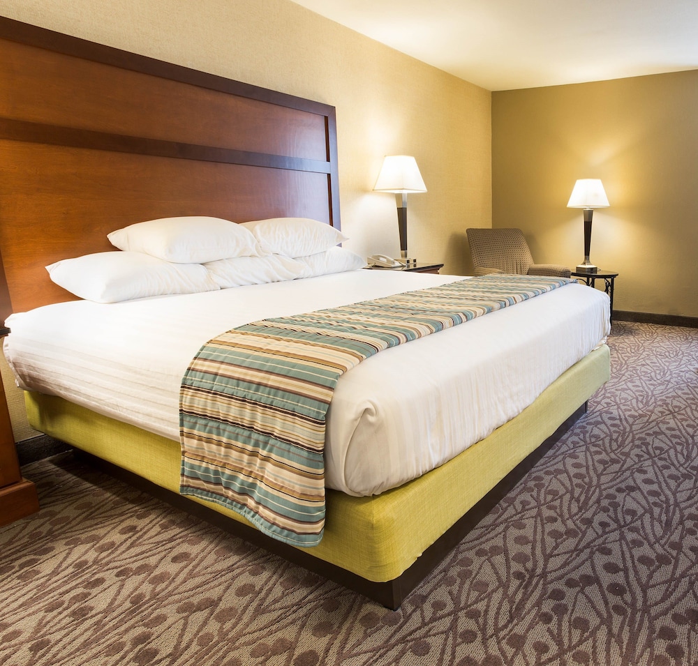 Drury Inn And Suites Atlanta Airport 16/50